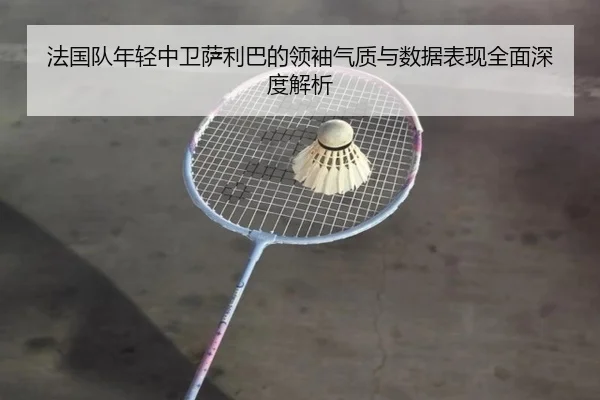 法国队年轻中卫萨利巴的领袖气质与数据表现全面深度解析